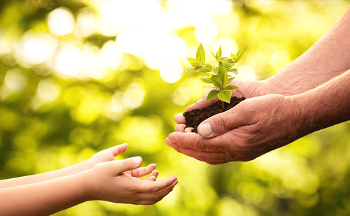 大宝娱乐-LG游戏|PT游戏|CQ9游戏